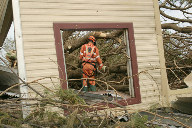 Best Fruit Tree Pruning  in Pinardville, NH